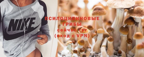 марки nbome Аркадак